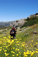 Bushwalking
